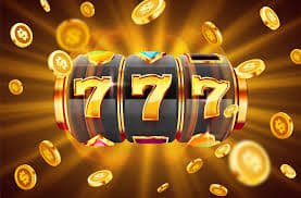 77bd9